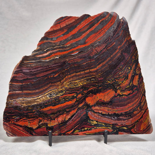 BANDED TIGER IRON MICROBIALITE, Archean, Australia ZBI013