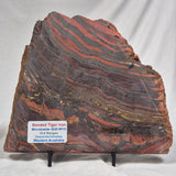 BANDED TIGER IRON MICROBIALITE, Archean, Australia ZBI013