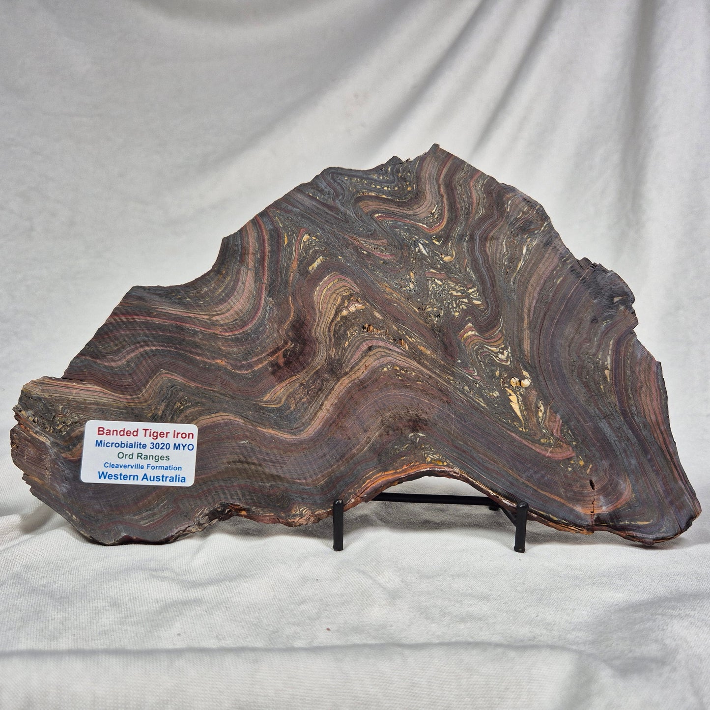 BANDED TIGER IRON MICROBIALITE, Archean, Australia ZBI014