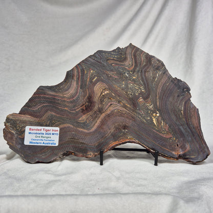 BANDED TIGER IRON MICROBIALITE, Archean, Australia ZBI014