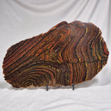 BANDED TIGER IRON MICROBIALITE, Archean, Australia ZBI017