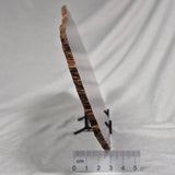 BANDED TIGER IRON MICROBIALITE, Archean, Australia ZBI017