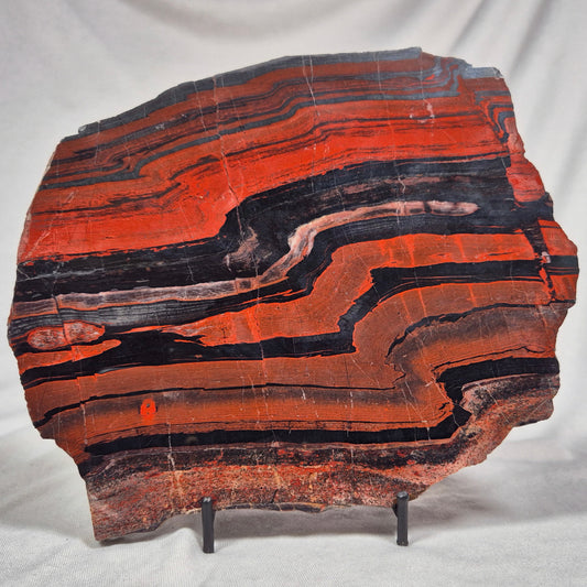 BANDED TIGER IRON MICROBIALITE, Archean, Australia ZBI018