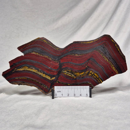 BANDED TIGER IRON MICROBIALITE, Archean, Australia ZBI019