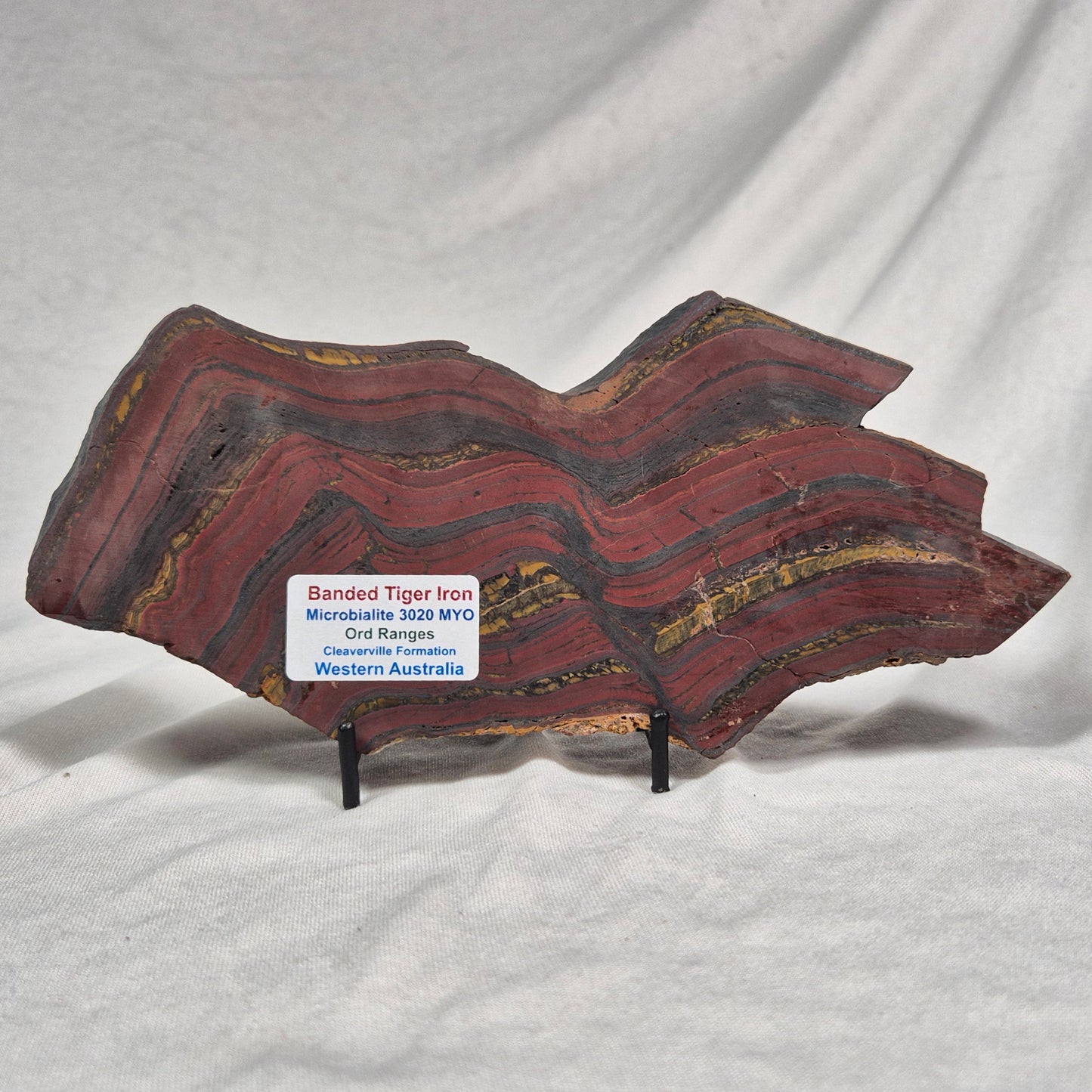 BANDED TIGER IRON MICROBIALITE, Archean, Australia ZBI019