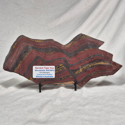 BANDED TIGER IRON MICROBIALITE, Archean, Australia ZBI019