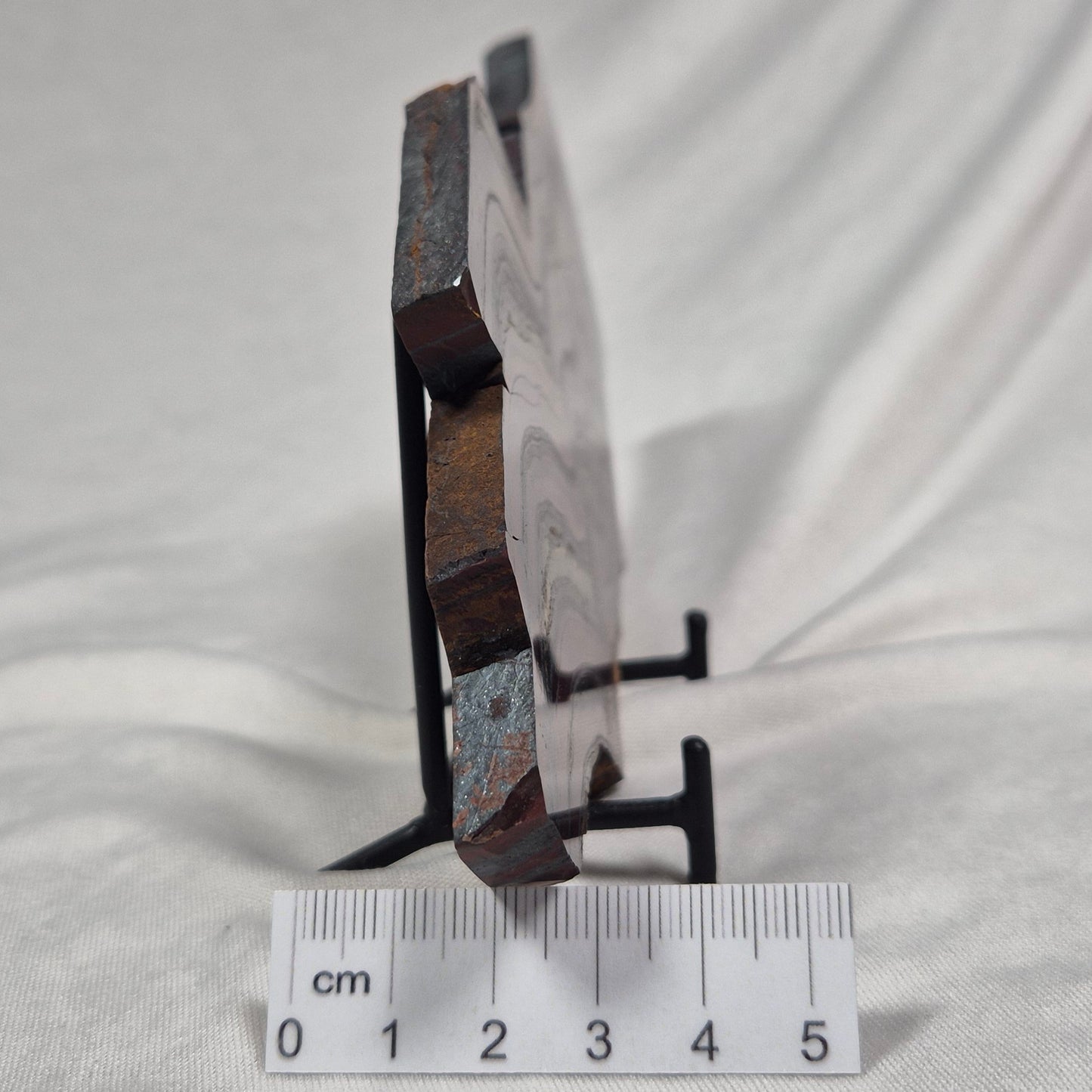 BANDED TIGER IRON MICROBIALITE, Archean, Australia ZBI019