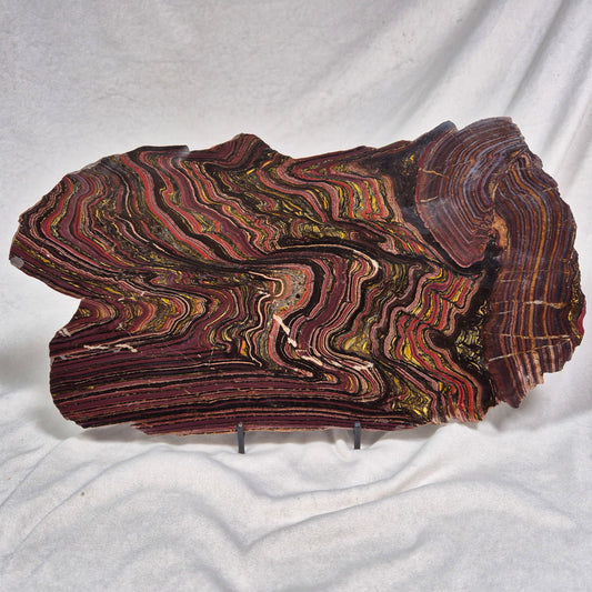 BANDED TIGER IRON MICROBIALITE, Archean, Australia ZBI020