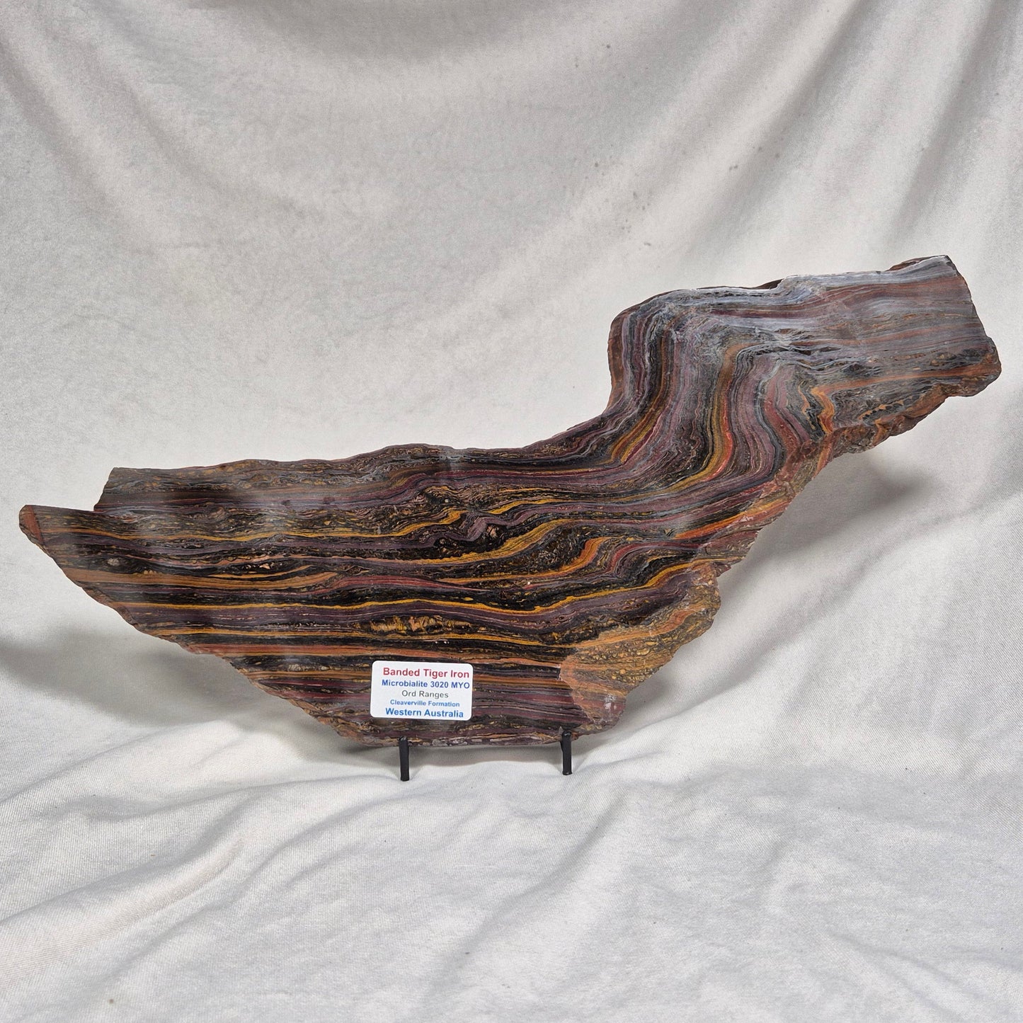 BANDED TIGER IRON MICROBIALITE, Archean, Australia ZBI021