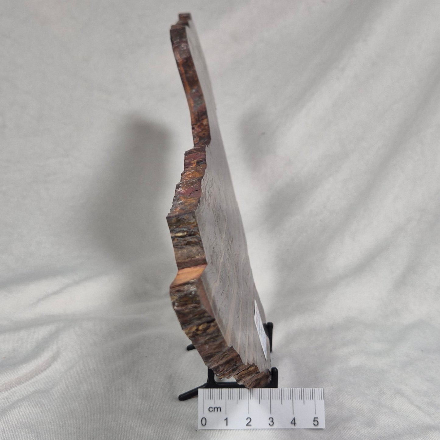 BANDED TIGER IRON MICROBIALITE, Archean, Australia ZBI021