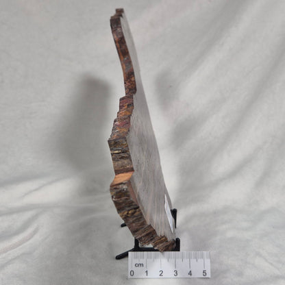 BANDED TIGER IRON MICROBIALITE, Archean, Australia ZBI021