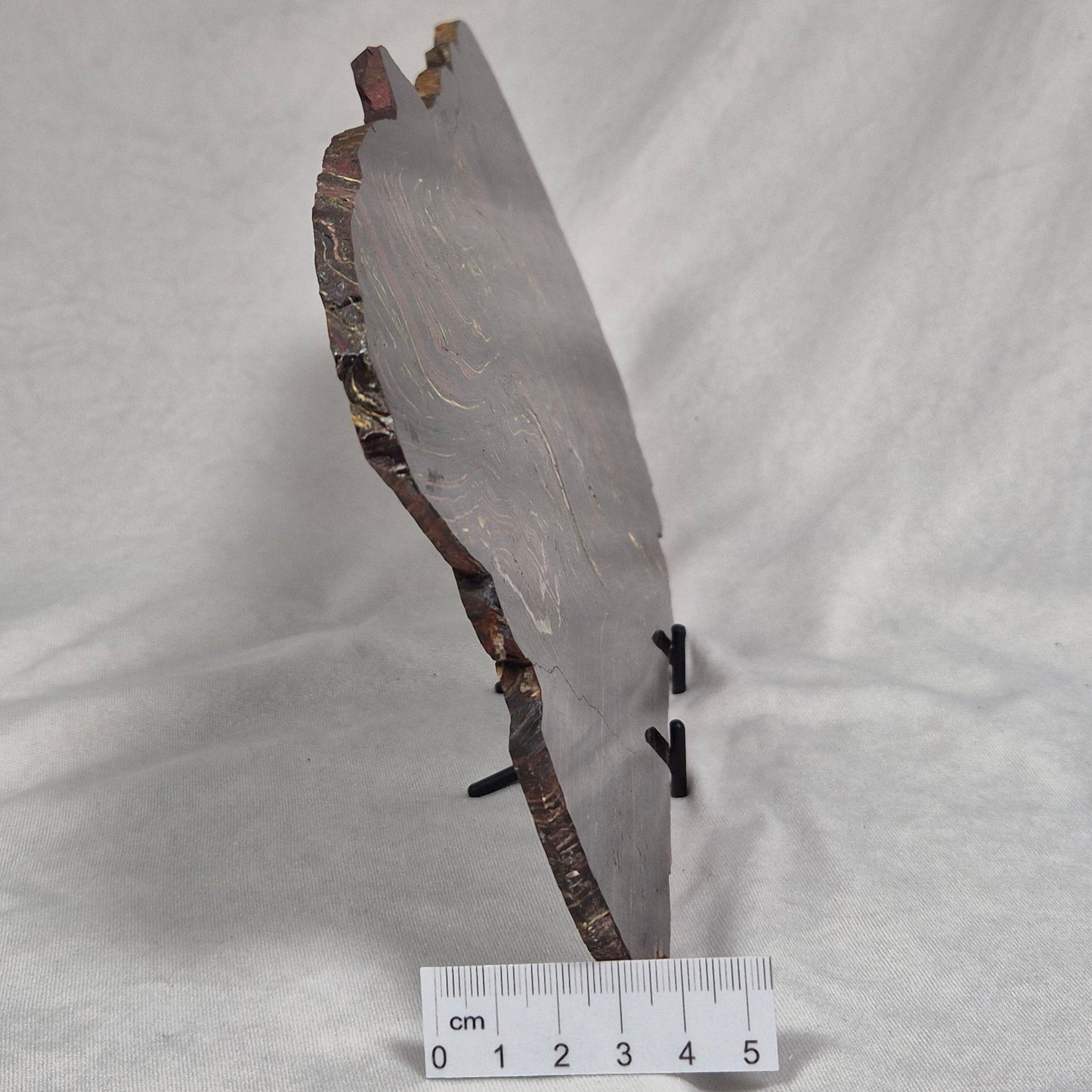 BANDED TIGER IRON MICROBIALITE, Archean, Australia ZBI022