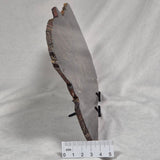 BANDED TIGER IRON MICROBIALITE, Archean, Australia ZBI022