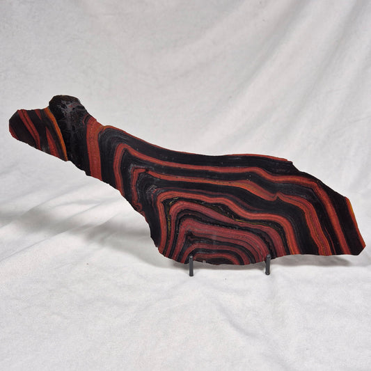 BANDED TIGER IRON MICROBIALITE, Archean, Australia ZBI023