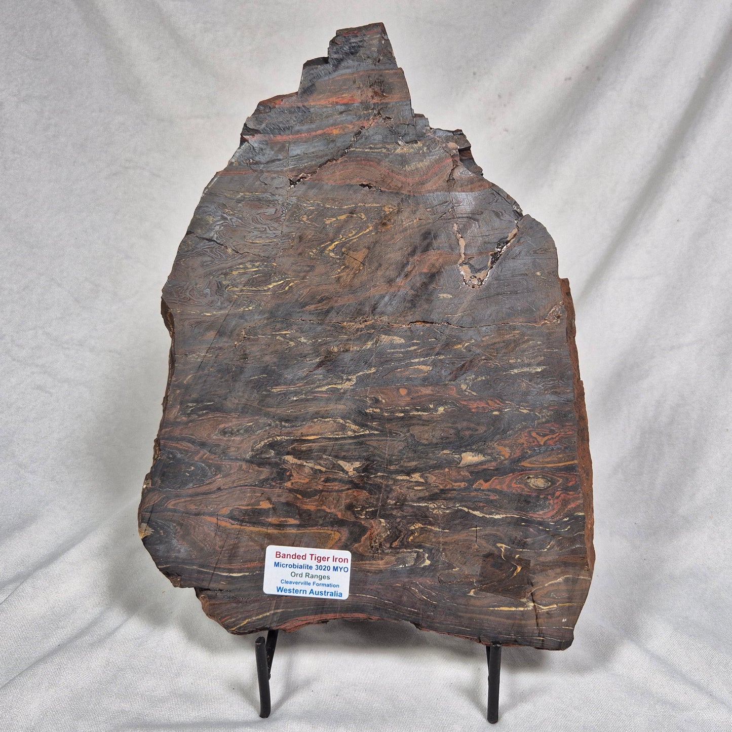 BANDED TIGER IRON MICROBIALITE, Archean, Australia ZBI024