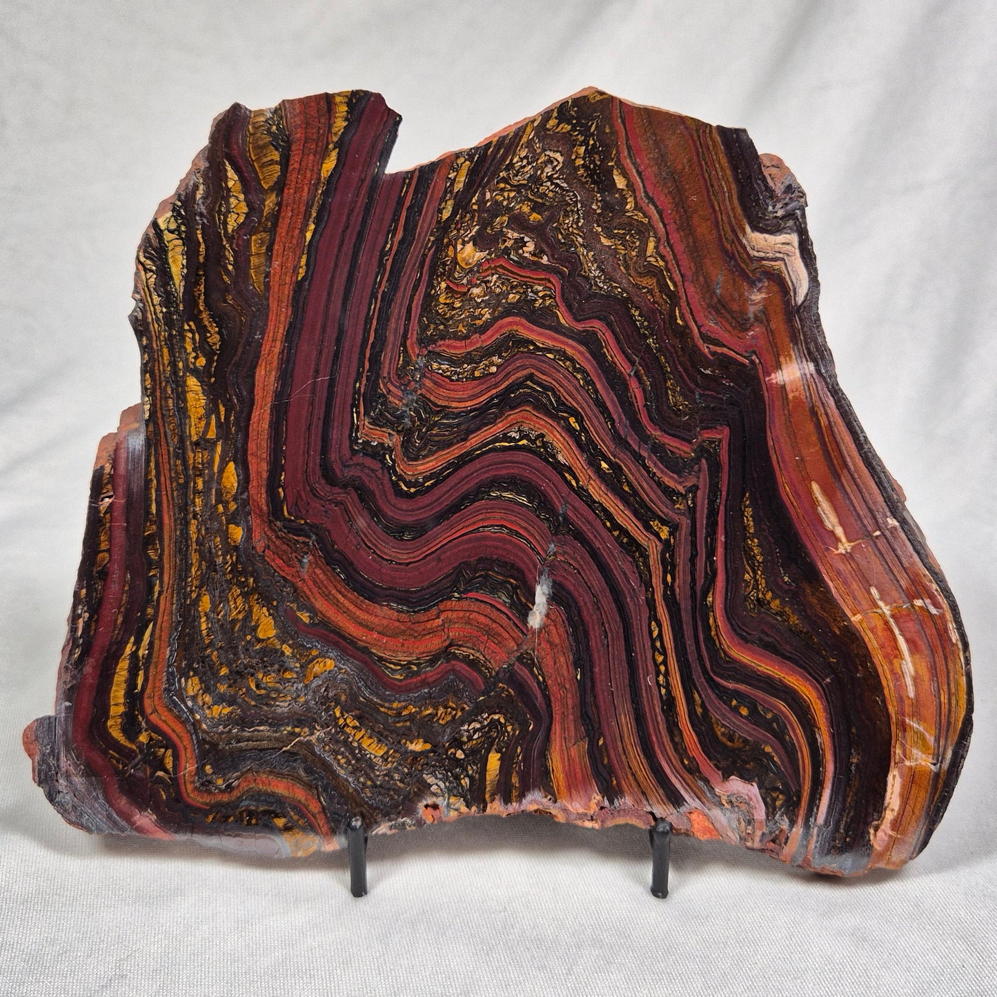 BANDED TIGER IRON MICROBIALITE, Archean, Australia ZBI025