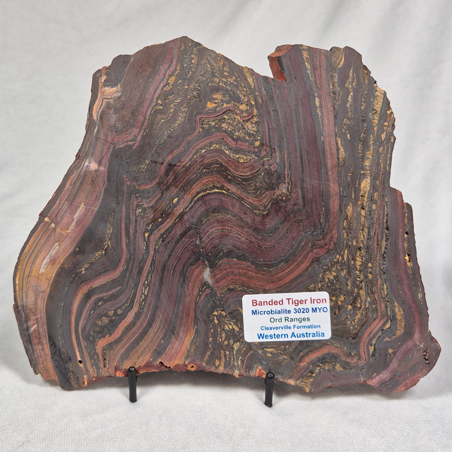 BANDED TIGER IRON MICROBIALITE, Archean, Australia ZBI025