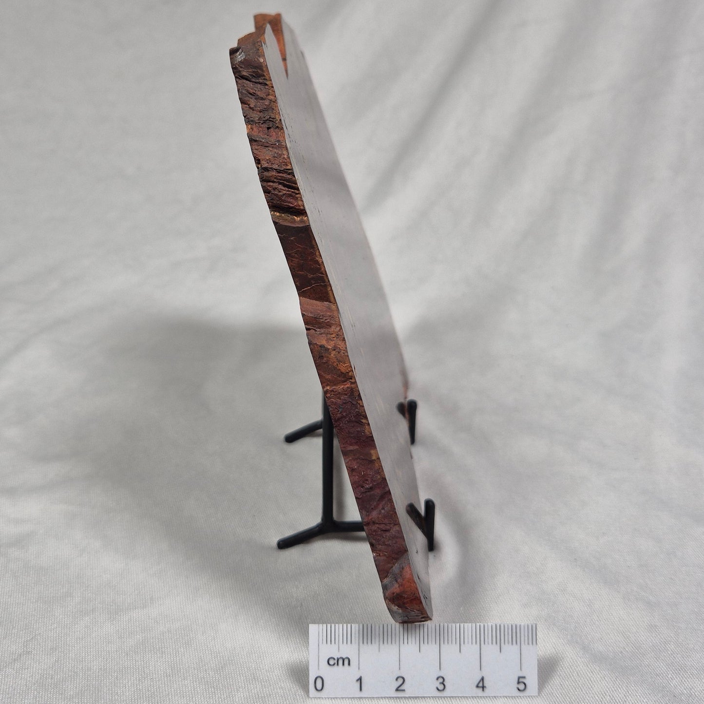 BANDED TIGER IRON MICROBIALITE, Archean, Australia ZBI025