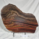 BANDED TIGER IRON MICROBIALITE, Archean, Australia ZBI026