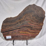 BANDED TIGER IRON MICROBIALITE, Archean, Australia ZBI026