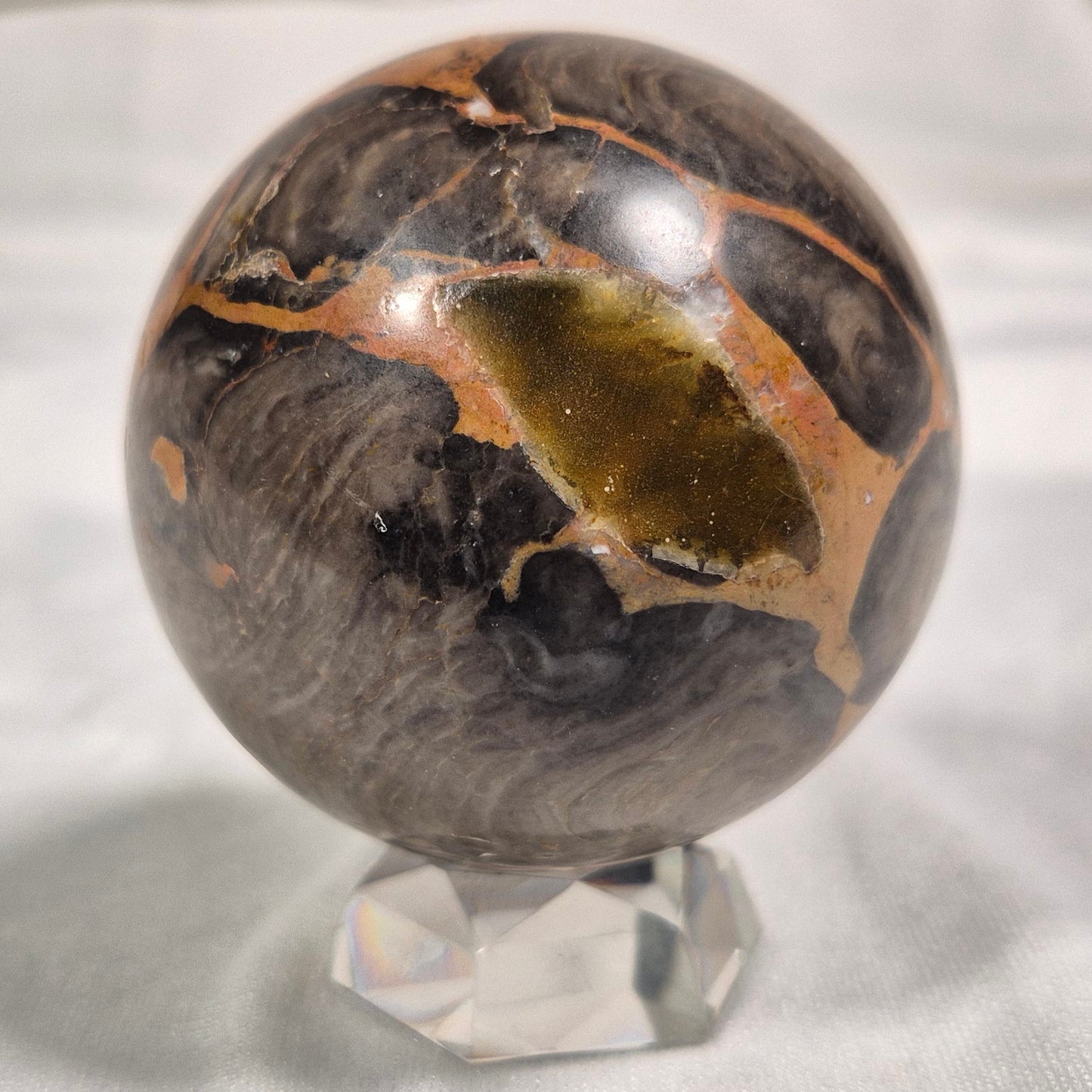 BOXONIA PERTAKNURRA STROMATOLITE, Proterozoic, Australia ZSS001