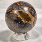 BOXONIA PERTAKNURRA STROMATOLITE, Proterozoic, Australia ZSS001