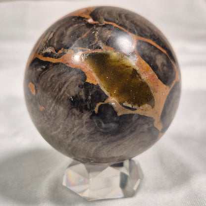 BOXONIA PERTAKNURRA STROMATOLITE, Proterozoic, Australia ZSS001