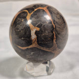 BOXONIA PERTAKNURRA STROMATOLITE, Proterozoic, Australia ZSS001