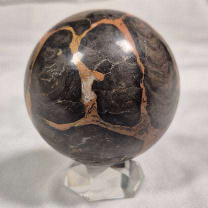 BOXONIA PERTAKNURRA STROMATOLITE, Proterozoic, Australia ZSS001