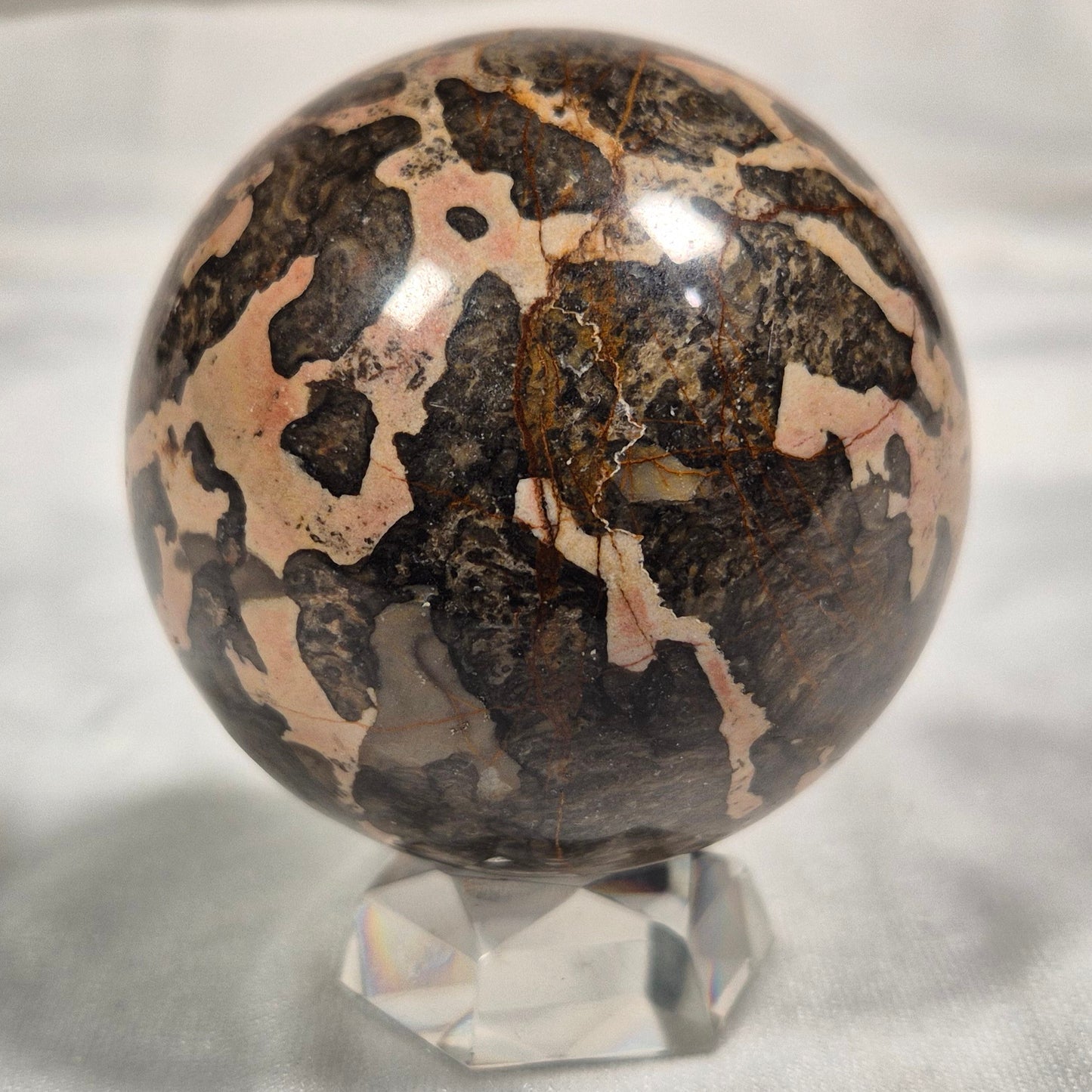 BOXONIA PERTAKNURRA STROMATOLITE, Proterozoic, Australia ZSS002