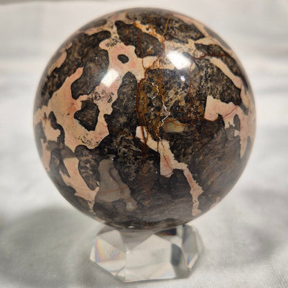 BOXONIA PERTAKNURRA STROMATOLITE, Proterozoic, Australia ZSS002
