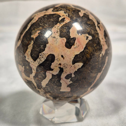 BOXONIA PERTAKNURRA STROMATOLITE, Proterozoic, Australia ZSS002