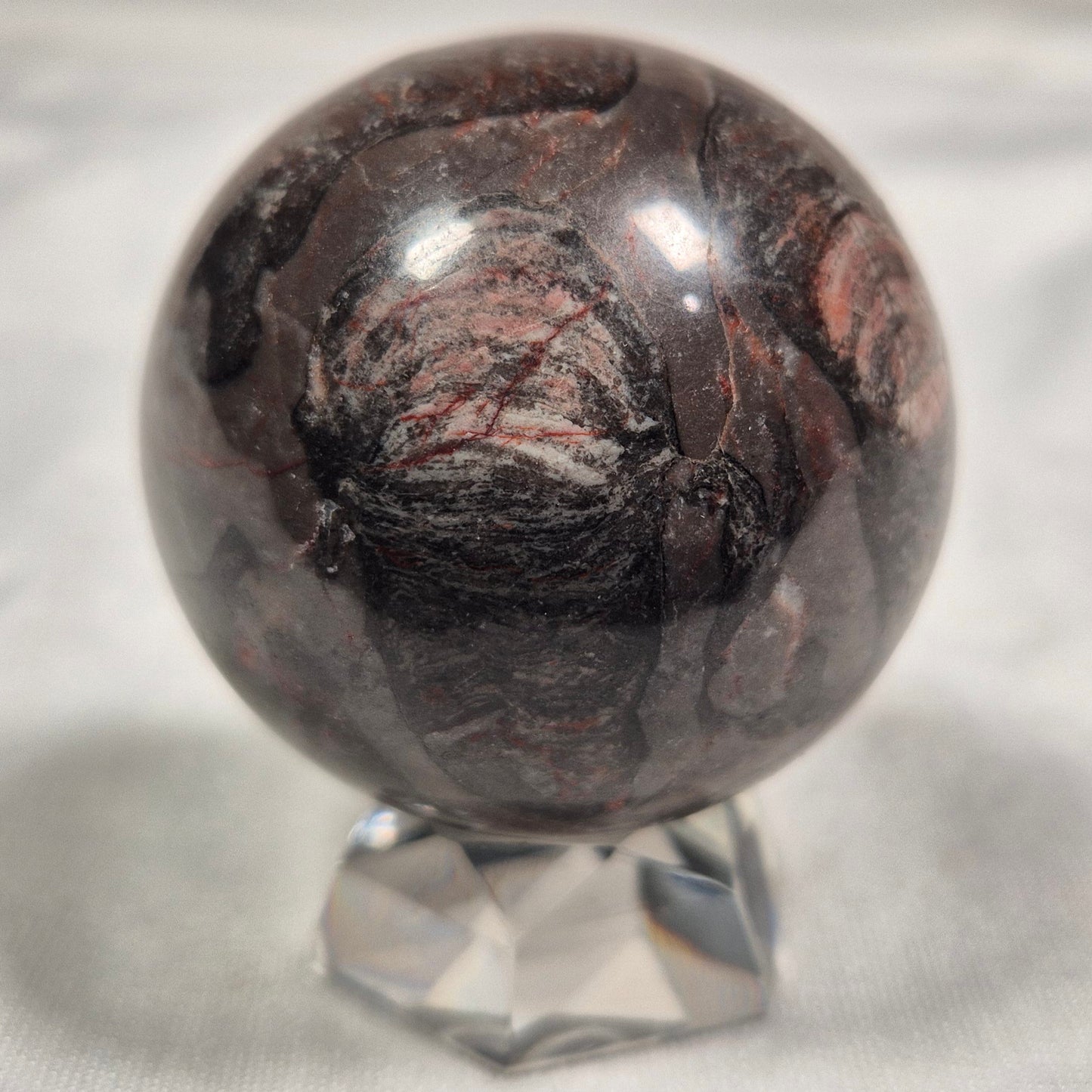INZERIA INTIA STROMATOLITE, Proterozoic, Australia ZSS004