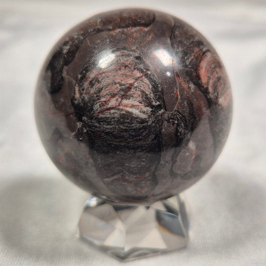 INZERIA INTIA STROMATOLITE, Proterozoic, Australia ZSS004