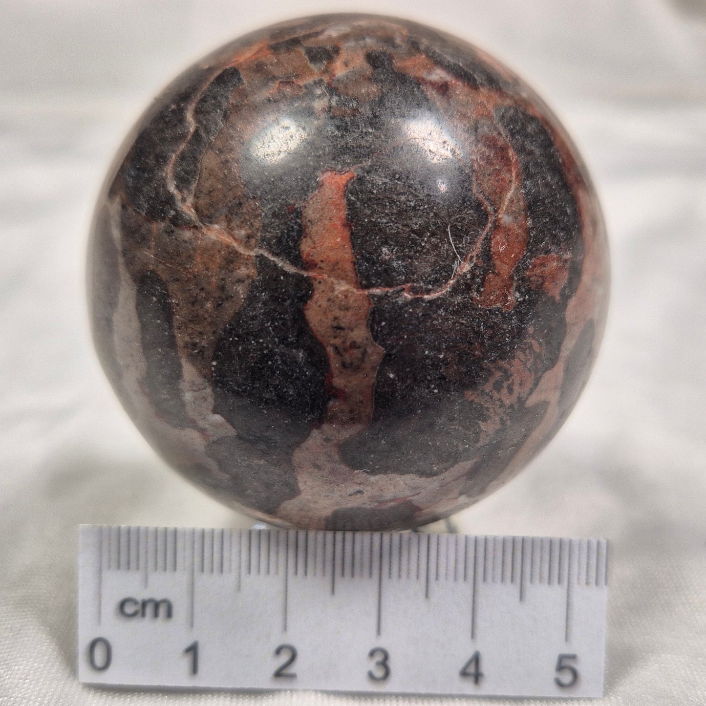 INZERIA INTIA STROMATOLITE, Proterozoic, Australia ZSS005