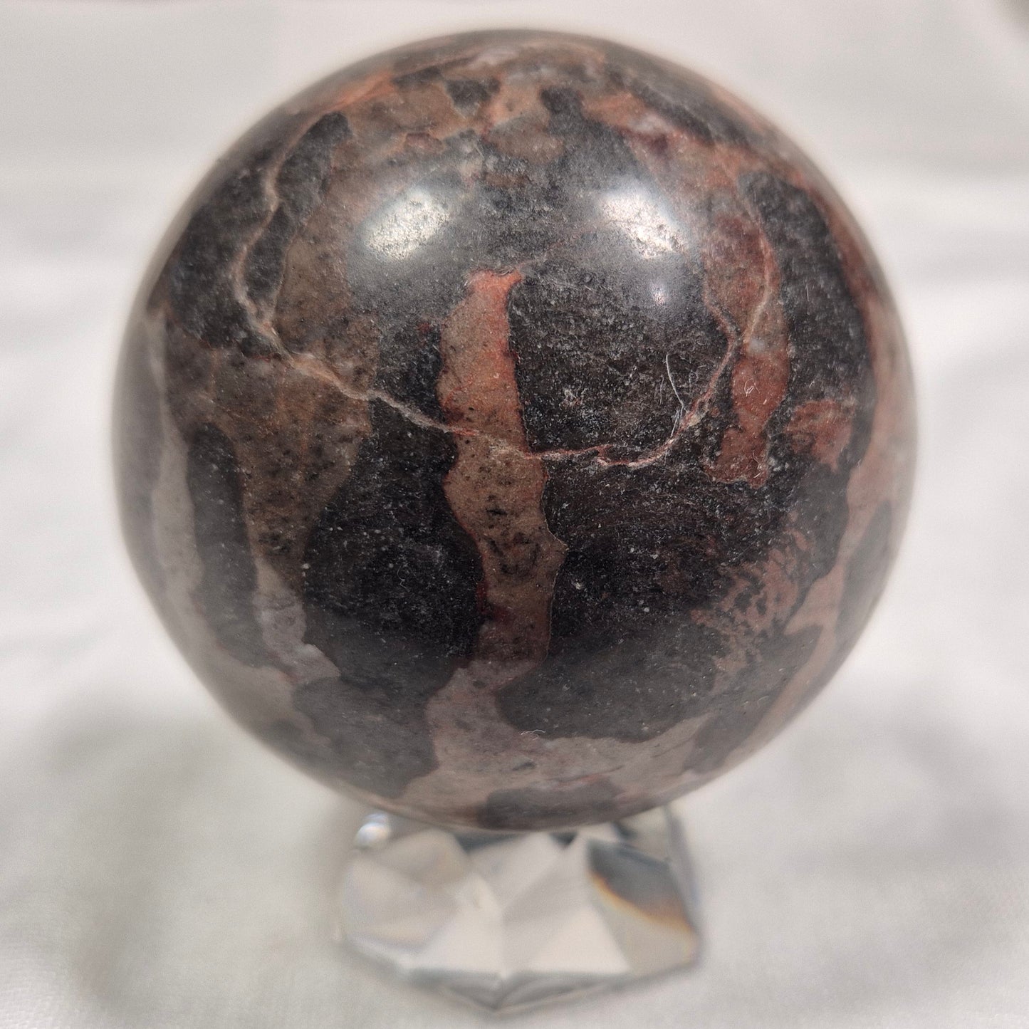 INZERIA INTIA STROMATOLITE, Proterozoic, Australia ZSS005