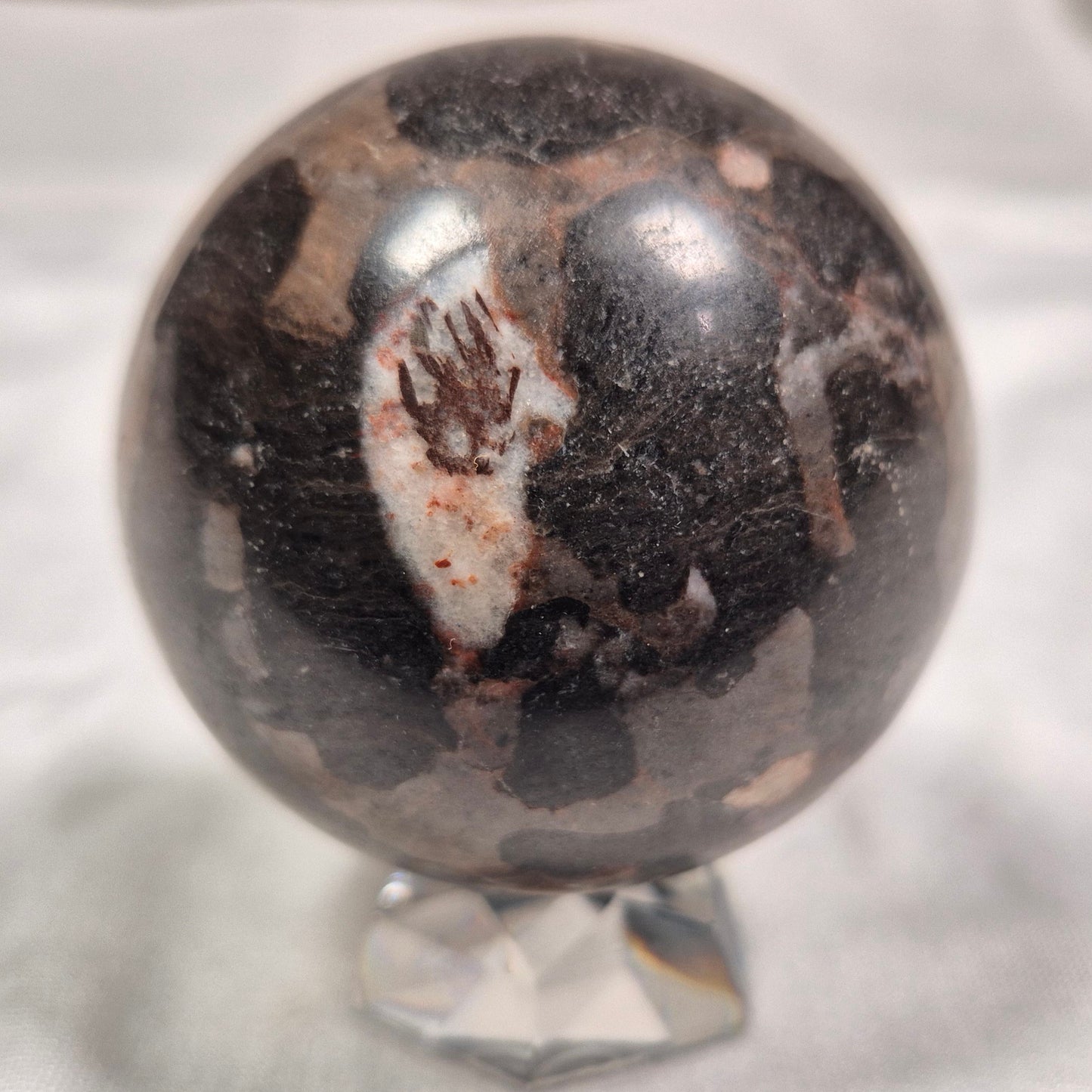 INZERIA INTIA STROMATOLITE, Proterozoic, Australia ZSS005