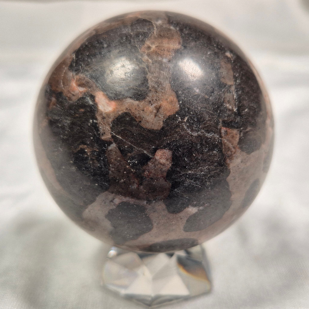 INZERIA INTIA STROMATOLITE, Proterozoic, Australia ZSS005