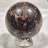 INZERIA INTIA STROMATOLITE, Proterozoic, Australia ZSS005
