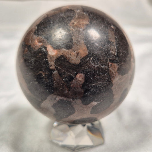 INZERIA INTIA STROMATOLITE, Proterozoic, Australia ZSS005