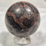 INZERIA INTIA STROMATOLITE, Proterozoic, Australia ZSS005