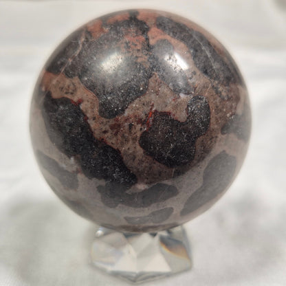 INZERIA INTIA STROMATOLITE, Proterozoic, Australia ZSS005