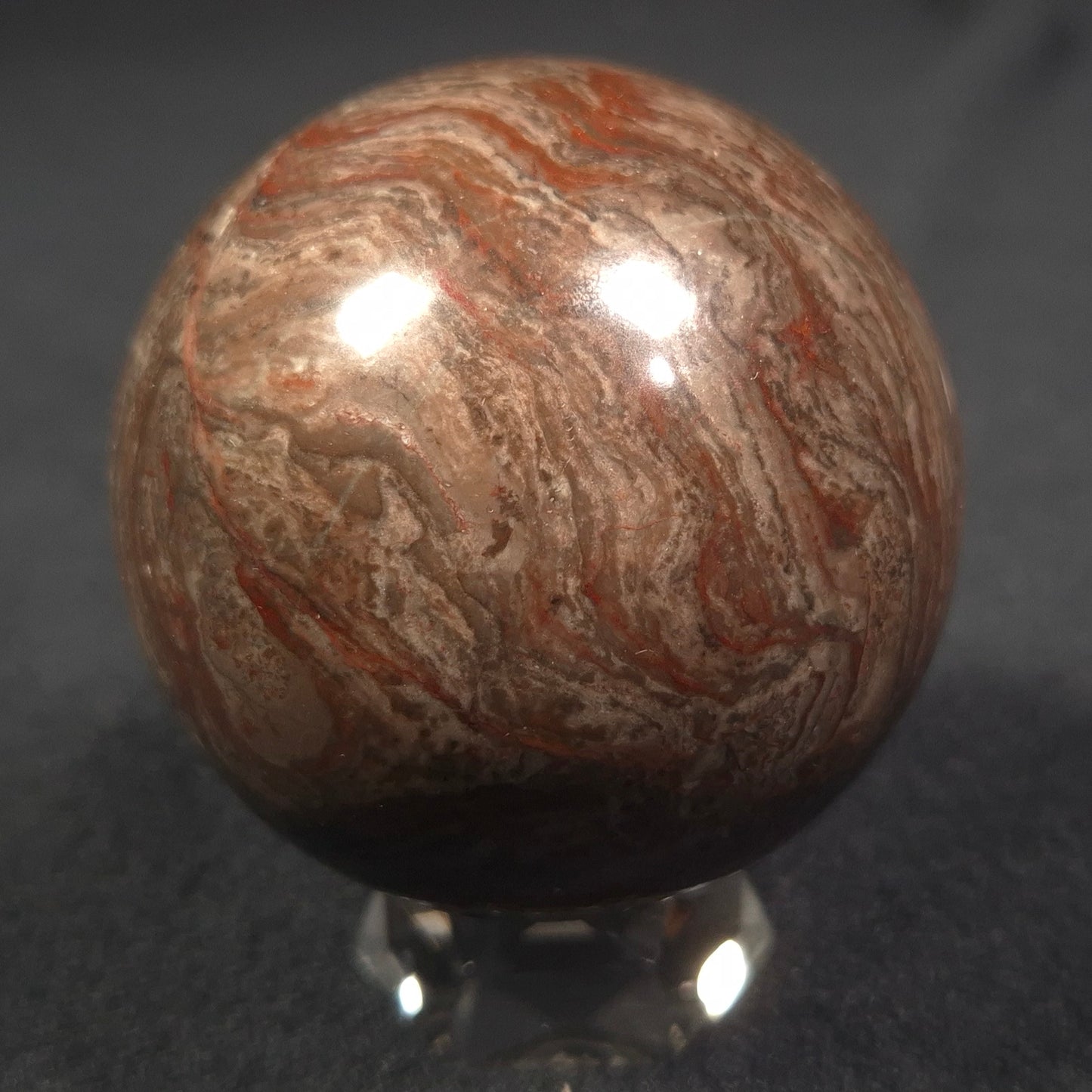 LINELLA AVIS STROMATOLITE, Proterozoic, Australia ZSS007