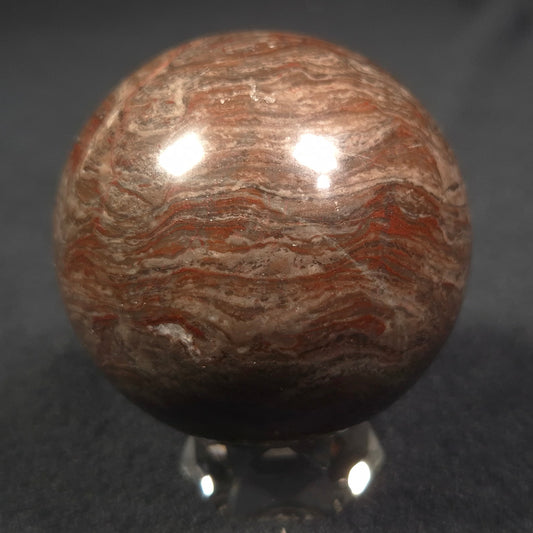 LINELLA AVIS STROMATOLITE, Proterozoic, Australia ZSS007