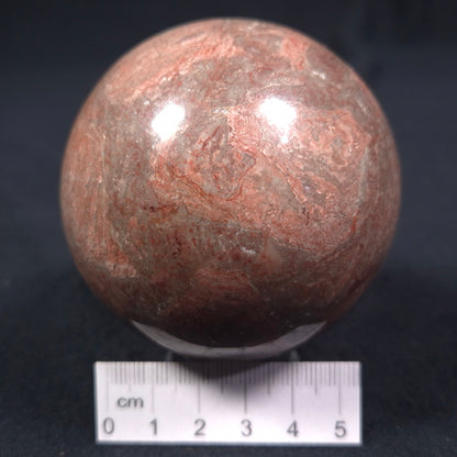 LINELLA AVIS STROMATOLITE, Proterozoic, Australia ZSS008
