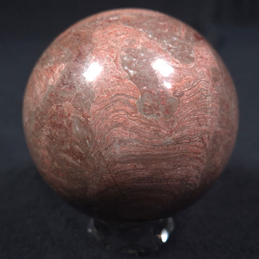 LINELLA AVIS STROMATOLITE, Proterozoic, Australia ZSS008