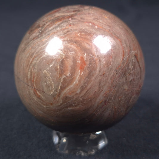 LINELLA AVIS STROMATOLITE, Proterozoic, Australia ZSS009
