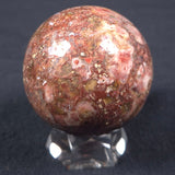 MADIGANITES MAWSONI STROMATOLITE, Cambrian, Australia ZSS011