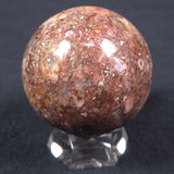 MADIGANITES MAWSONI STROMATOLITE, Cambrian, Australia ZSS011
