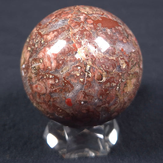 MADIGANITES MAWSONI STROMATOLITE, Cambrian, Australia ZSS011